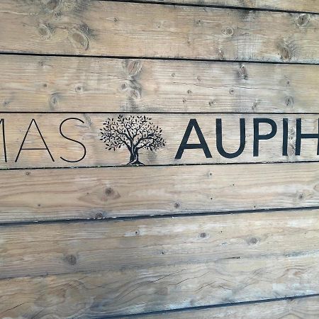 Mas Aupiho Βίλα Saint-Rémy-de-Provence Εξωτερικό φωτογραφία