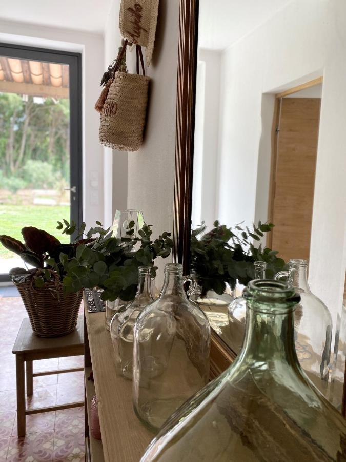 Mas Aupiho Βίλα Saint-Rémy-de-Provence Εξωτερικό φωτογραφία